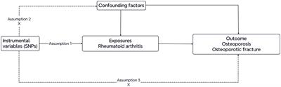 Application of two-sample Mendelian randomization method to assess the causal relationship between rheumatoid arthritis and osteoporotic fracture
